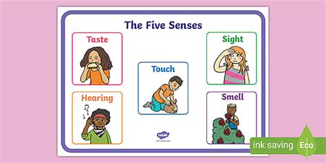 Learn more about the 5.